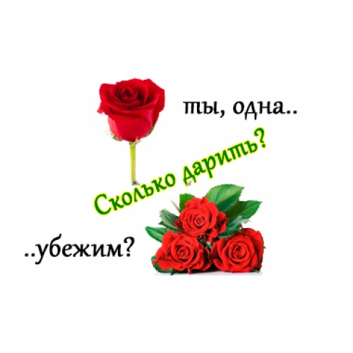 Сколько цветов нужно дарить живым людям. Количество цветов для девушки. Сколько цветов приятно. Сколько цветов нельзя дарить на день рождения. Сколько цветов дарят живому человеку.