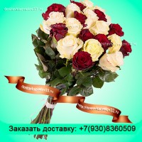 Букет из белых и бордовых роз (70 см) "Престиж"