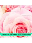 Букет из розовых роз 60см 