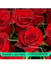 Букет из бордовых роз (60см) 